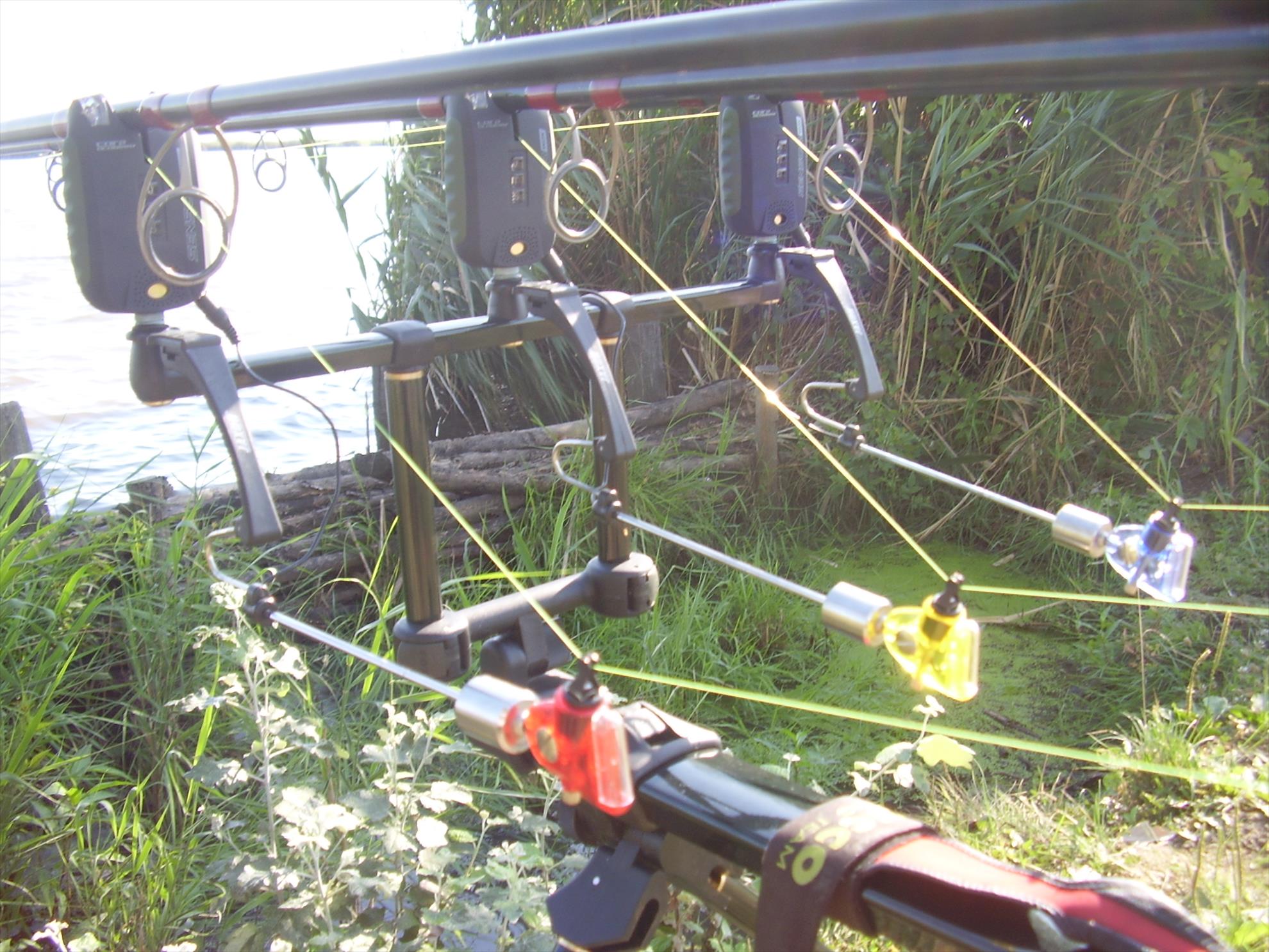 Alejandro Carp Team - Ohat Ungaria 2013 - p5070023.JPG